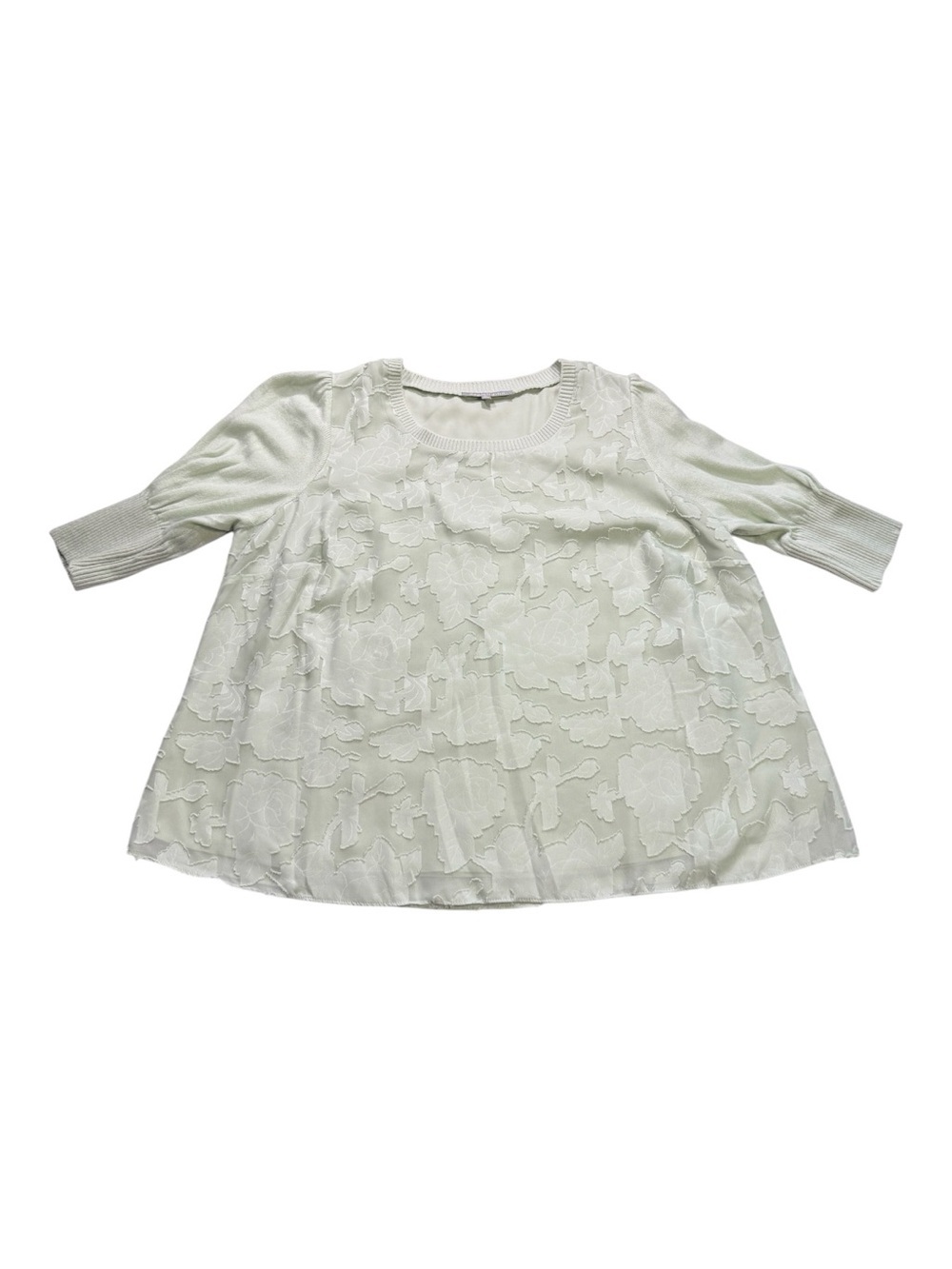 Daniel Rainn Women’s 1X Floral Textured Blouse Light Sage Green